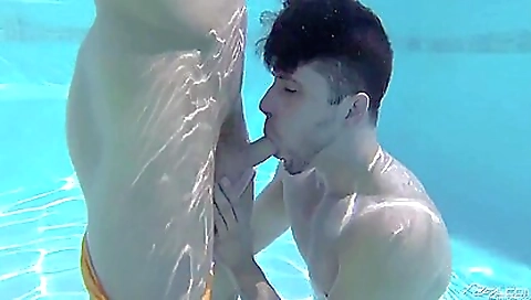 Two couples get wild on cam