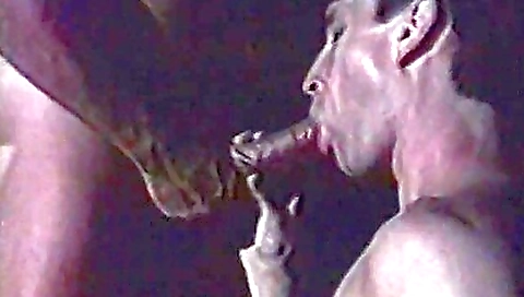 Sharahopy daleing a huge black cock